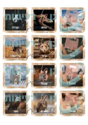 קטגורית חיות