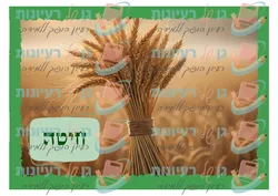 שבעת המינים A4