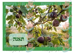 תאנה