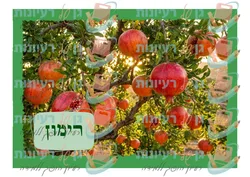 רימון