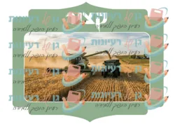 קציר חיטה -תהליך- A4- ירוק