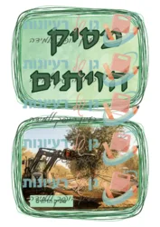 מסיק הזיתים
